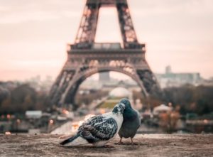 Eiffelovka ako dominanta Paríža. Čo ste o oceľové dáme nevedeli?
