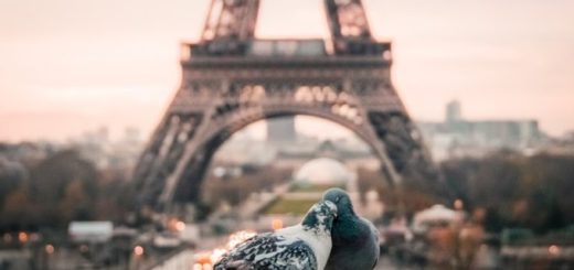 Eiffelovka ako dominanta Paríža. Čo ste o oceľové dáme nevedeli?