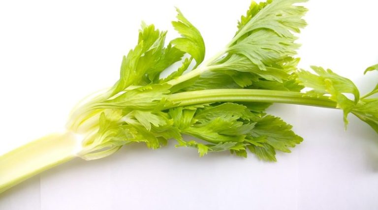 Rastliny, ktoré zlepšia sex