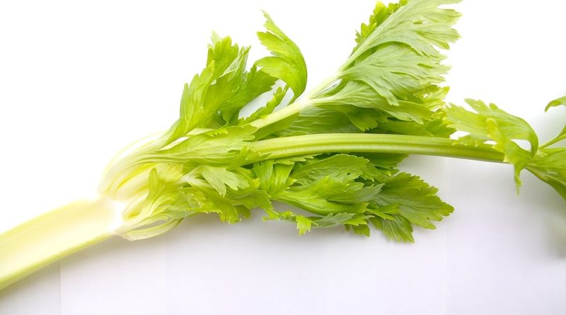 Rastliny, ktoré zlepšia sex