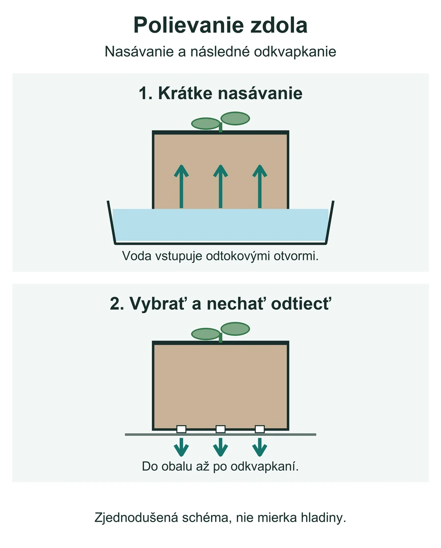 Schéma črepníka v plytkej vode s nasávaním zdola a následným odkvapkaním mimo misky.